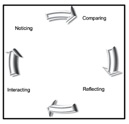 Figure 2. The Intercultural Learning Cycle (Liddicoat & Scarino, 2013)